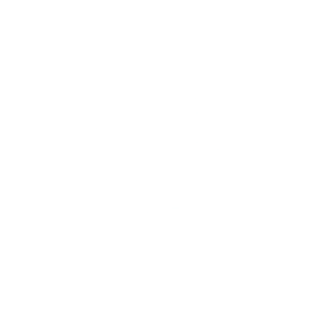 algida logo