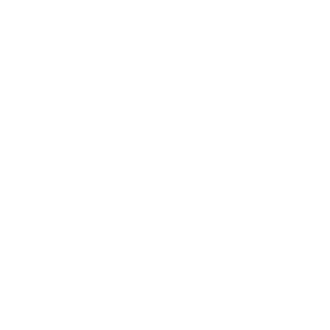 castorama logo